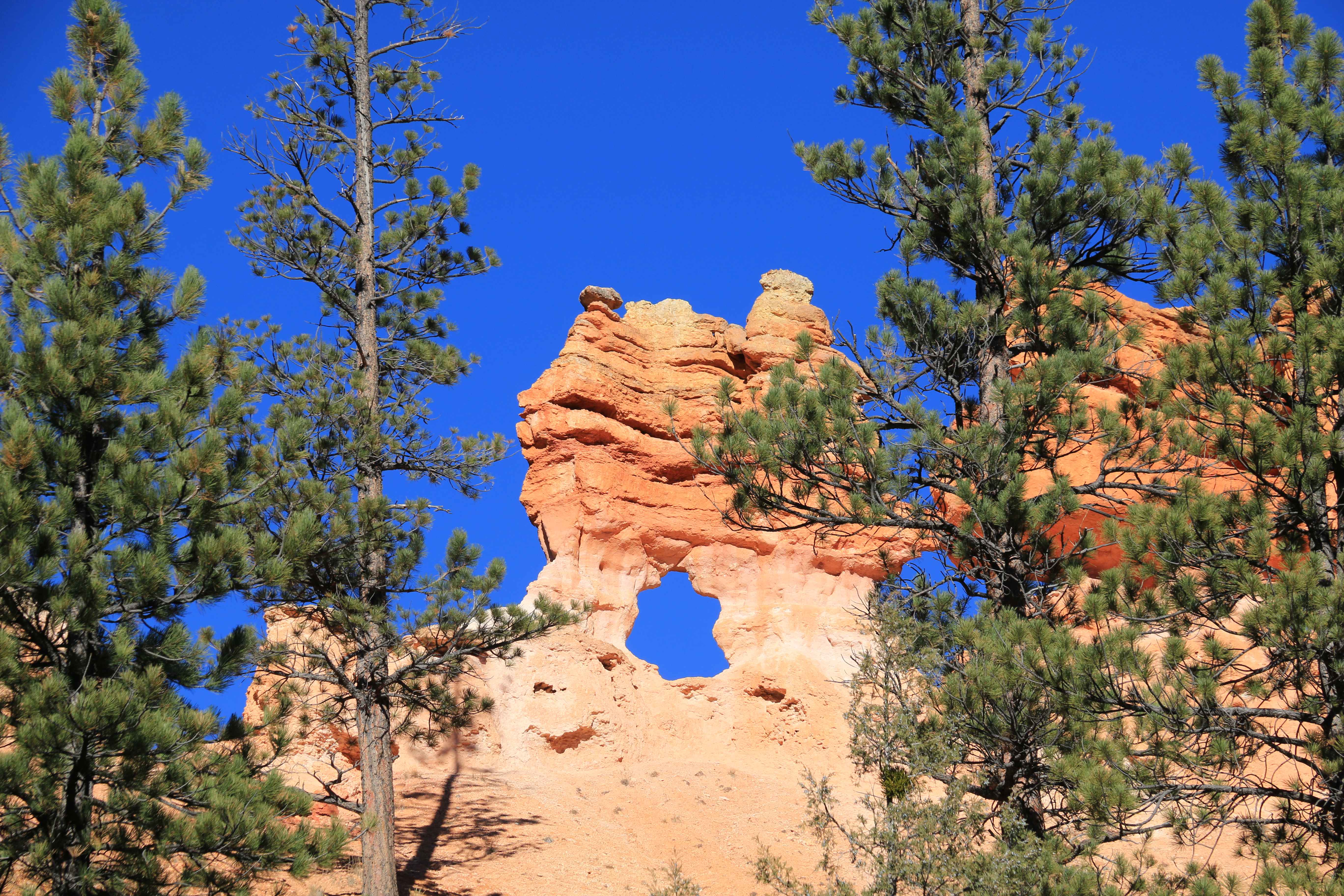 Bryce Canyon NP